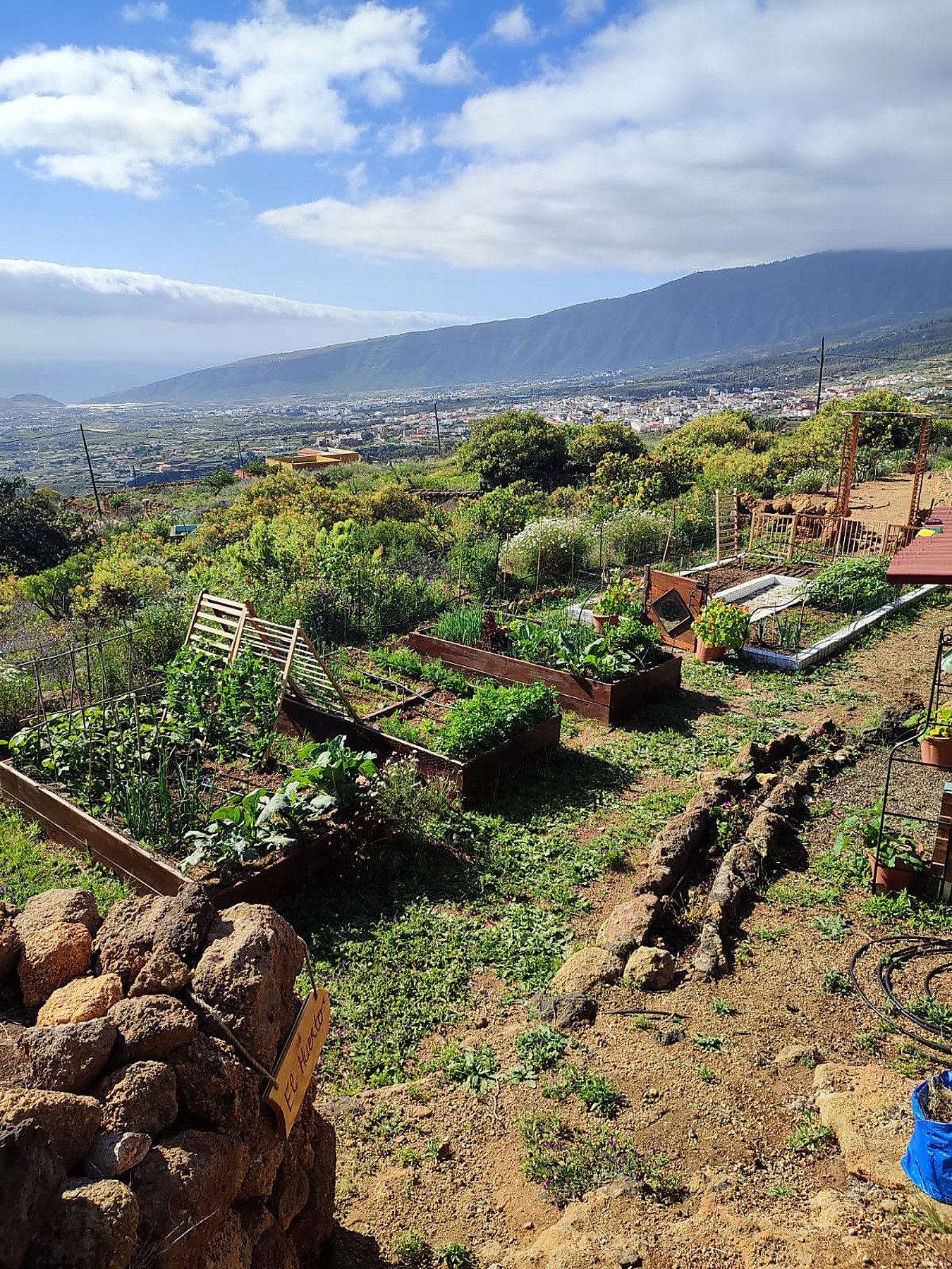 Potager en carrés surélevés avec vue sur la vallée, le village et les montagnes