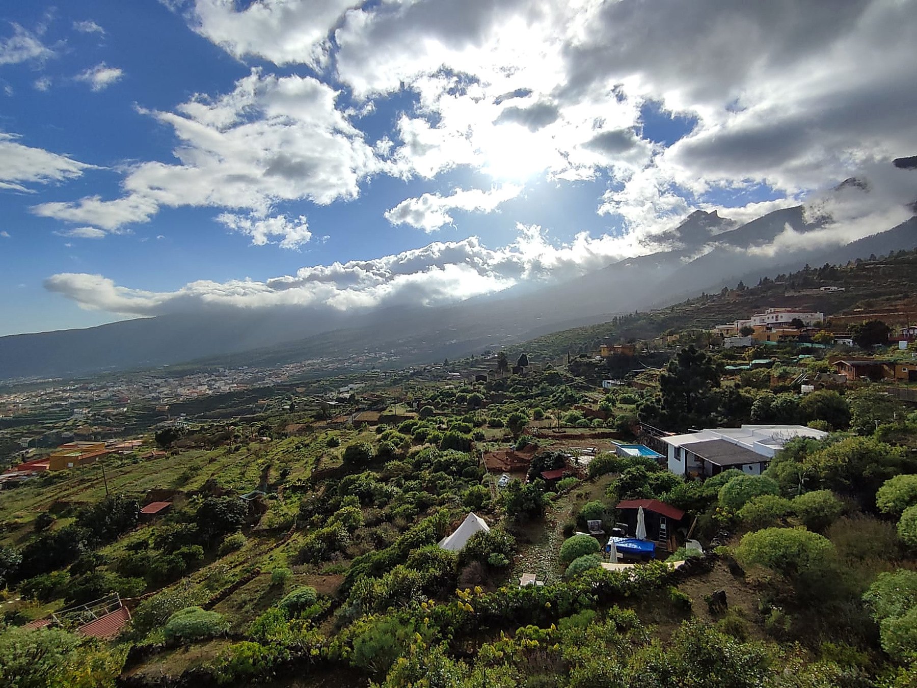 Vue verdoyante sur la vallée et les montagnes de Tenerife