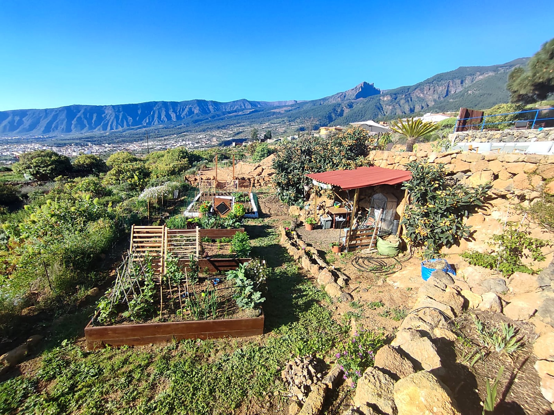 Potager en carrés surélevés avec vue sur les montagnes et la vallée